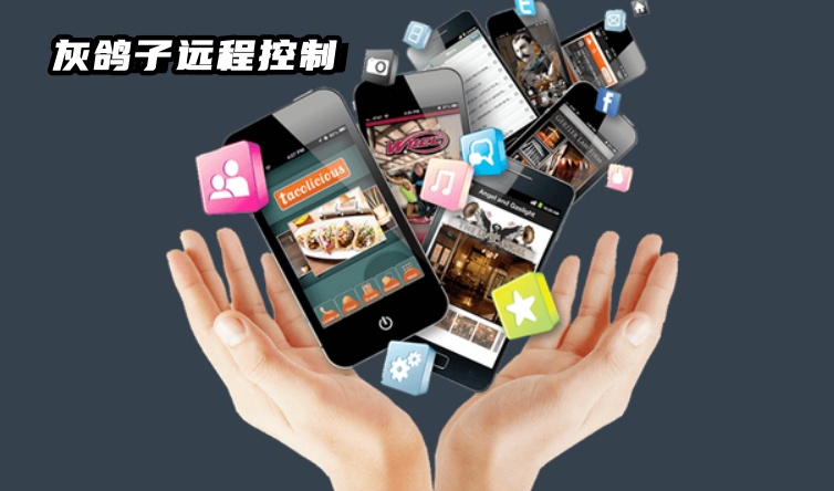 灰鴿子、向日葵、To desk、Team Viewer、Anydesk