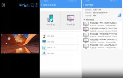 灰鴿子、向日葵、To desk、Team Viewer、Anydesk