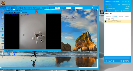 灰鴿子、向日葵、To desk、Team Viewer、Anydesk