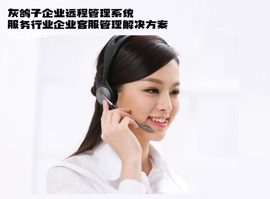 灰鴿子、向日葵、To desk、Team Viewer、Anydesk