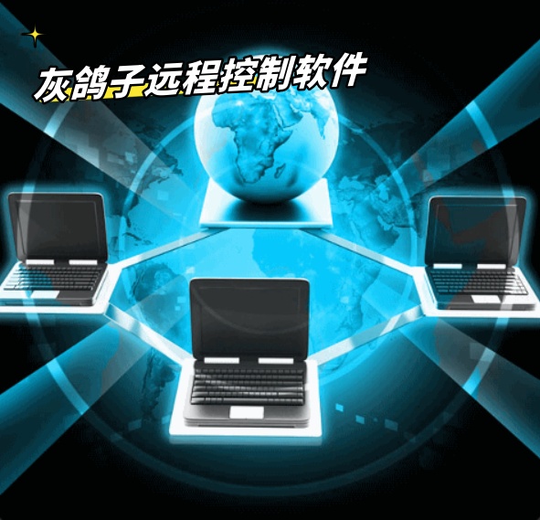 灰鴿子、向日葵、To desk、Team Viewer、Anydesk